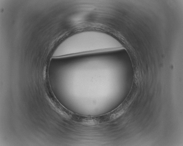 X0000085000454200703050940