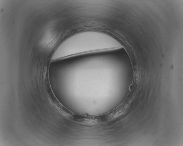 X0000085000458200703050940