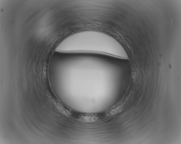 X0000085000466200703050940
