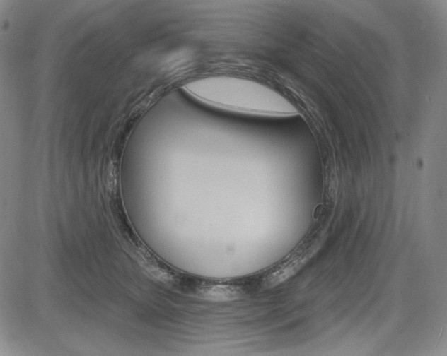 X0000085000467200703050940