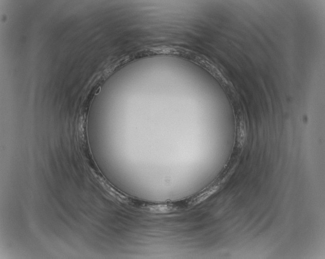 X0000085000473200703050940