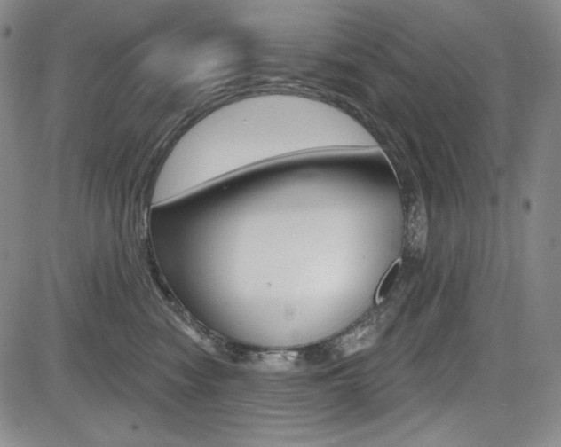 X0000085000474200703050940