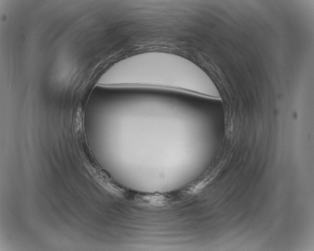 X0000085000478200703050940