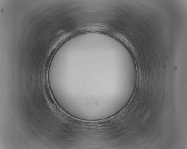 X0000085000482200703050939
