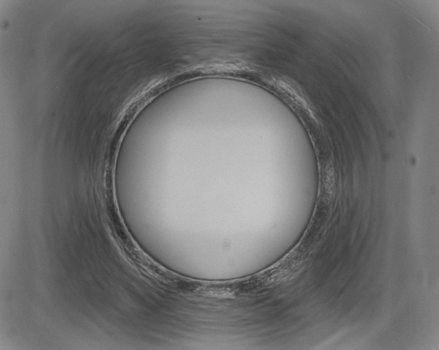 X0000085000491200703050939