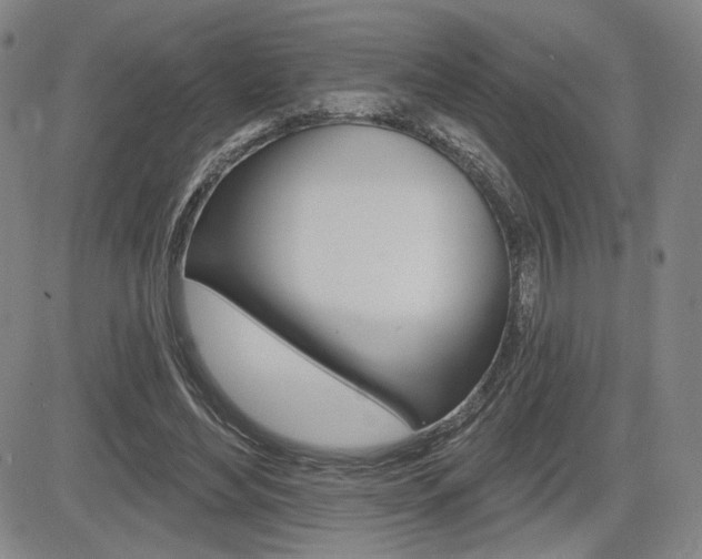 X0000085000492200703050939