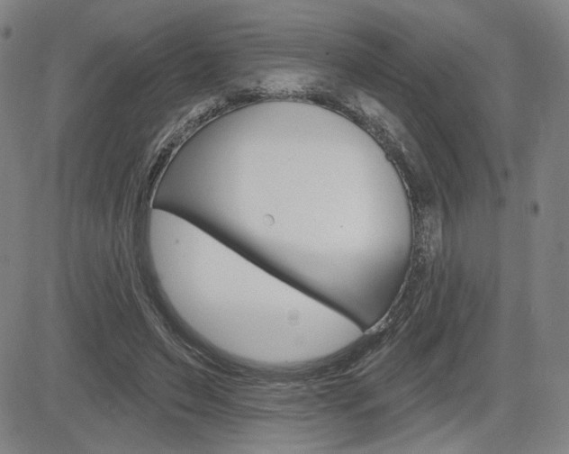 X0000085000495200703050939