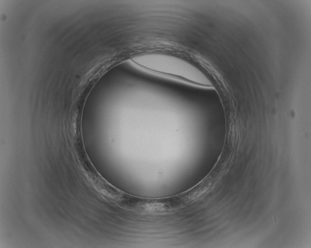 X0000085000501200703050939