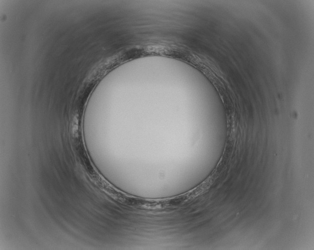 X0000085000502200703050939