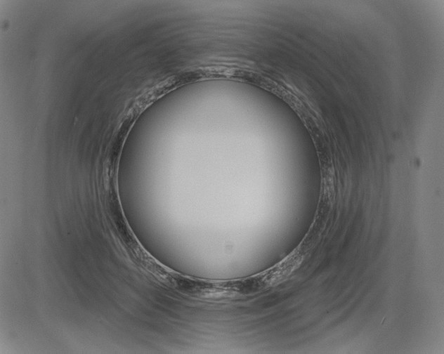 X0000085000504200703050939