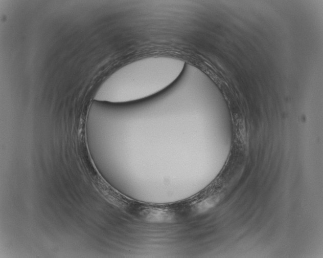 X0000085000507200703050939