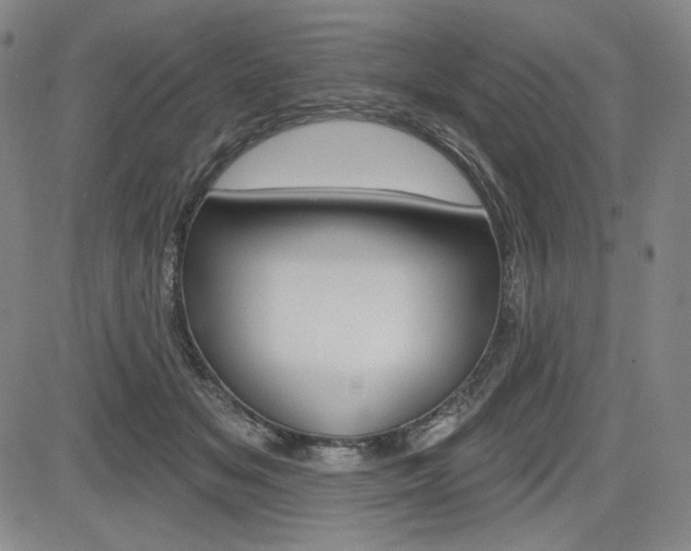 X0000085000509200703050939