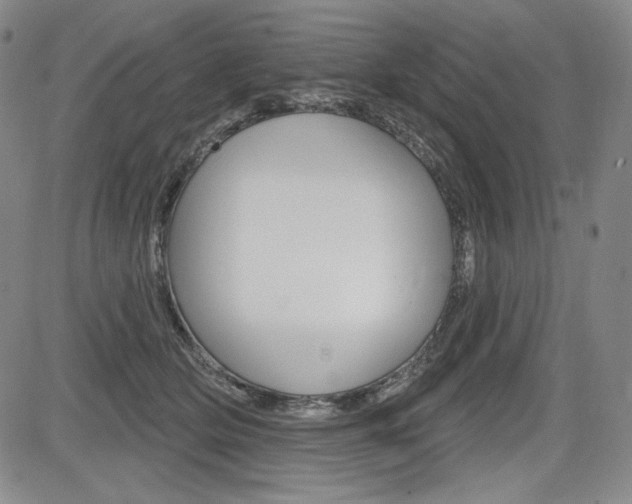 X0000085000514200703050939
