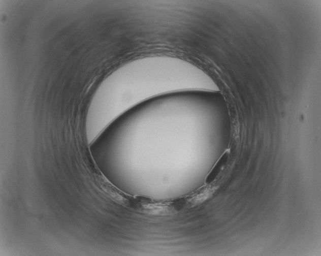 X0000085000516200703050939