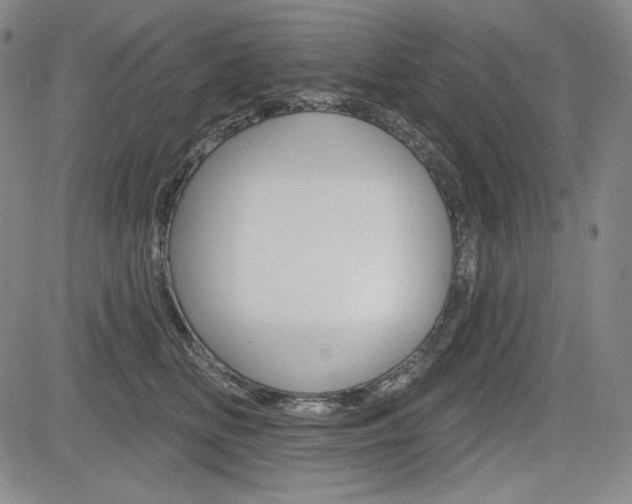 X0000085000518200703050939