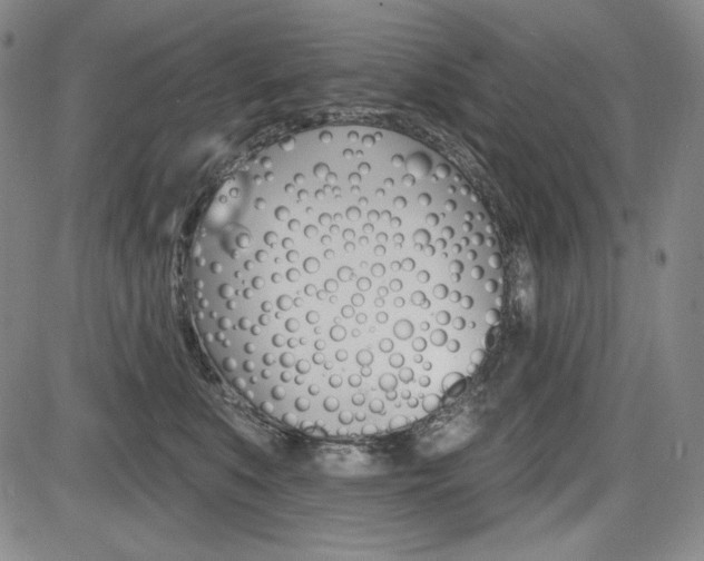 X0000085000519200703050939