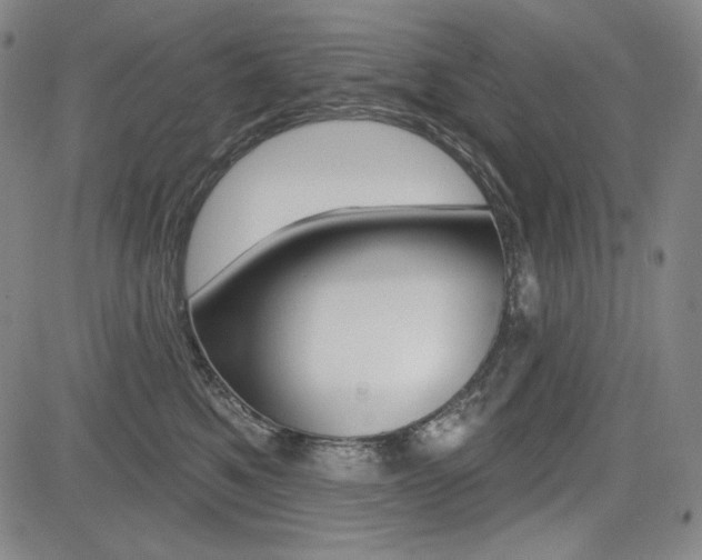 X0000085000521200703050939