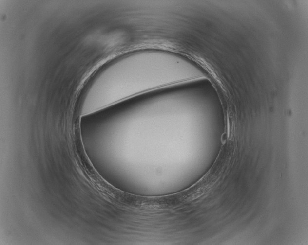 X0000085000531200703050938