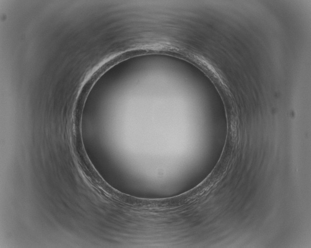 X0000085000532200703050938