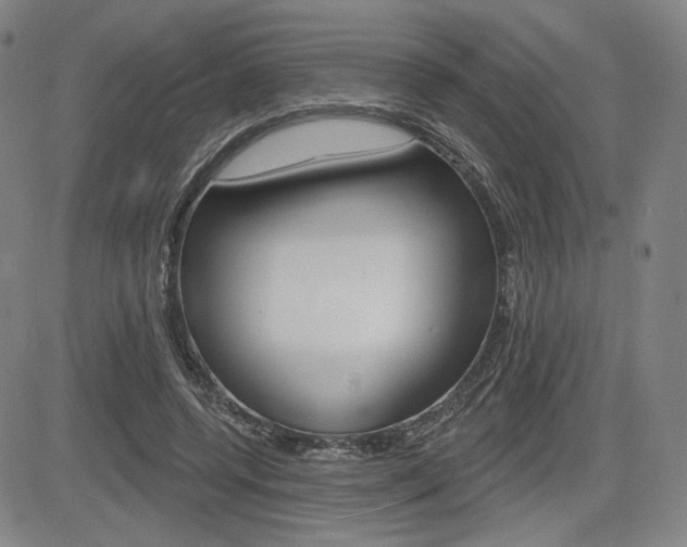 X0000085000544200703050938