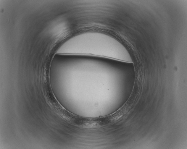 X0000085000547200703050938