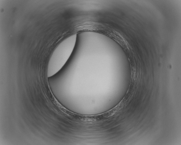 X0000085000549200703050938