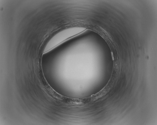X0000085000552200703050938
