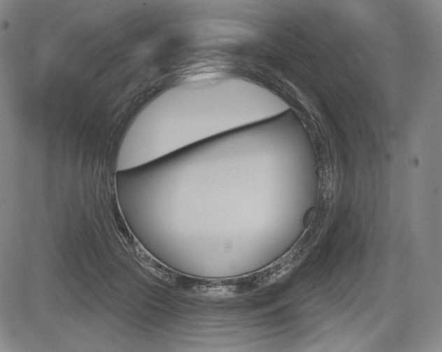 X0000085000553200703050938