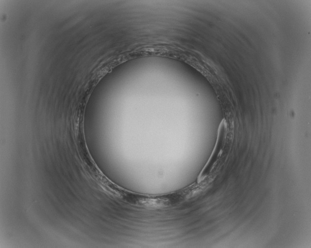 X0000085000558200703050938