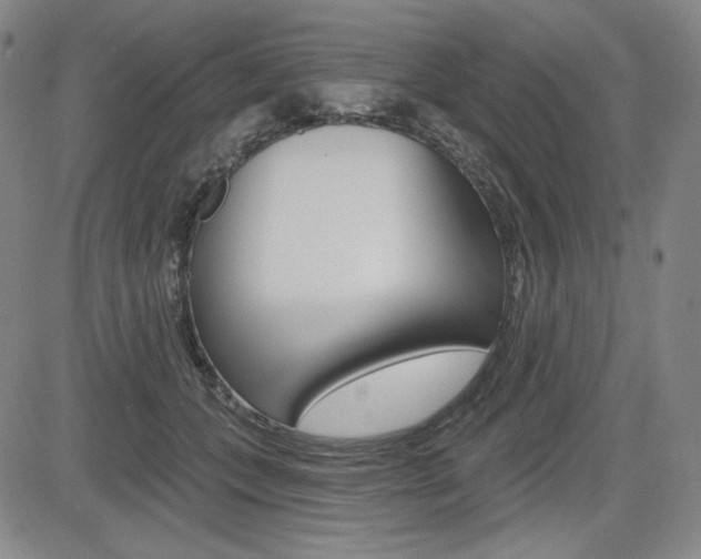 X0000085000559200703050938