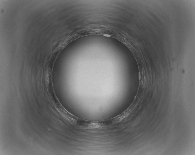 X0000085000562200703050938