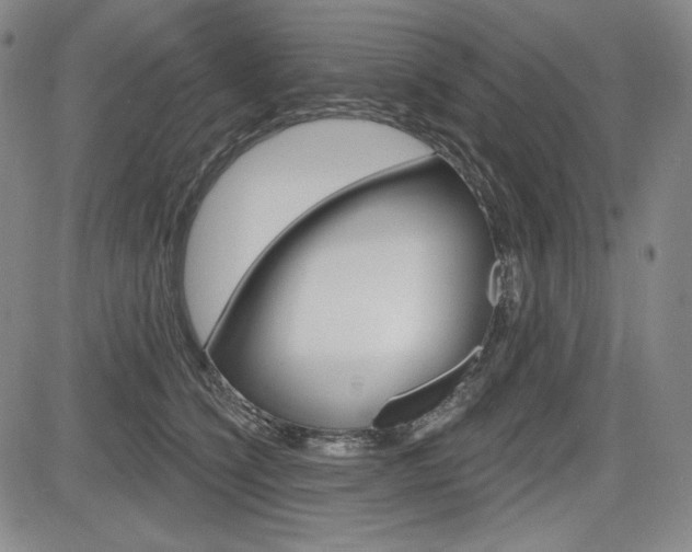 X0000085000564200703050938
