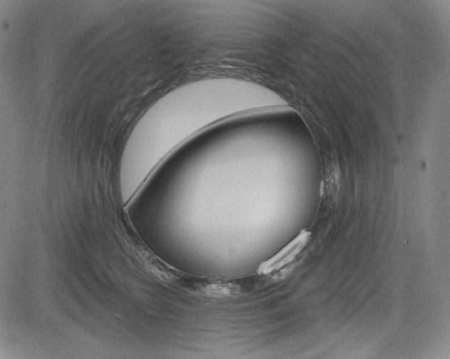 X0000085000566200703050938