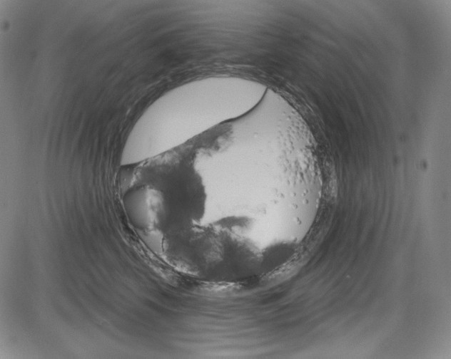 X0000085000569200703050939