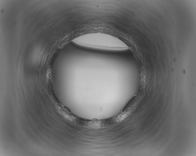 X0000085000574200703050939