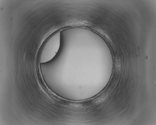 X0000085000582200703050938