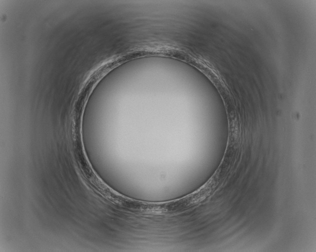 X0000085000587200703050938