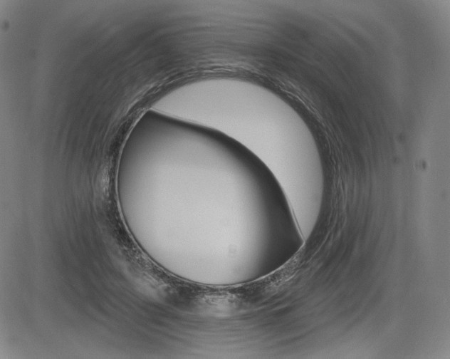 X0000085000595200703050938