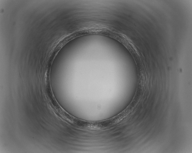 X0000085000596200703050938