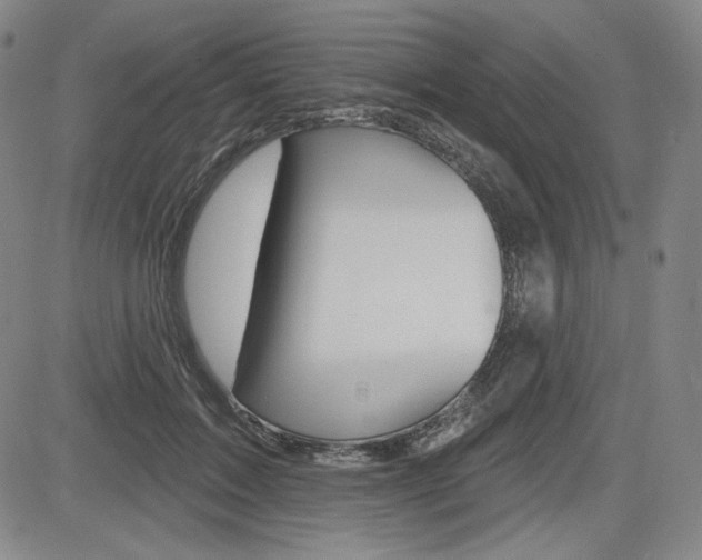 X0000085000603200703050937