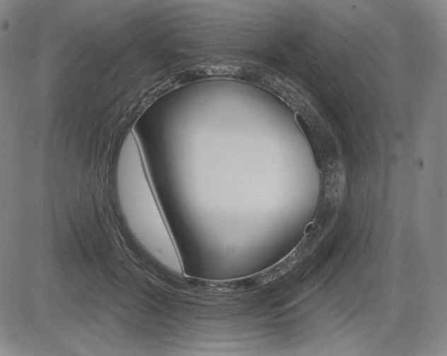 X0000085000604200703050937