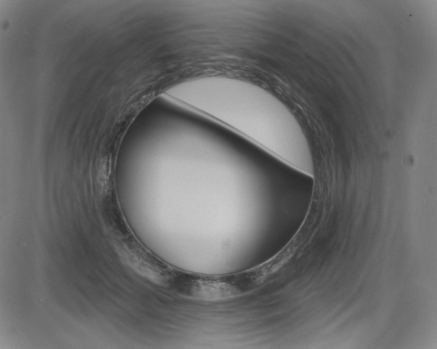 X0000085000605200703050937