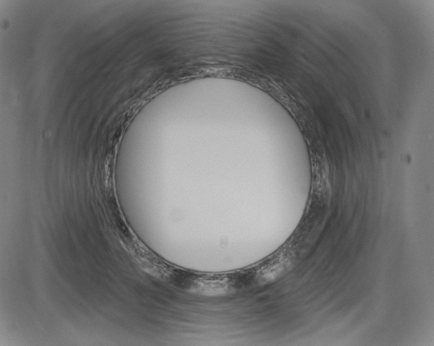 X0000085000606200703050937