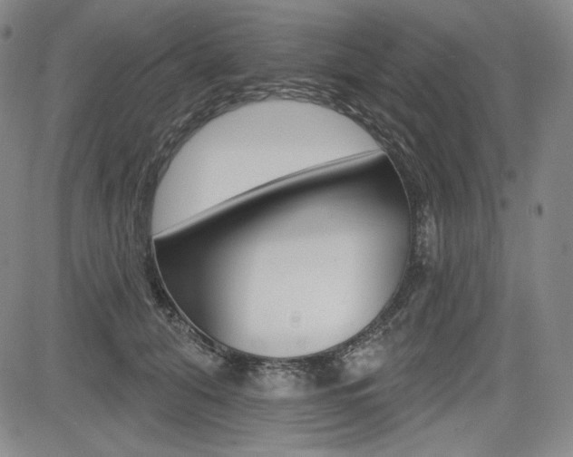 X0000085000608200703050937