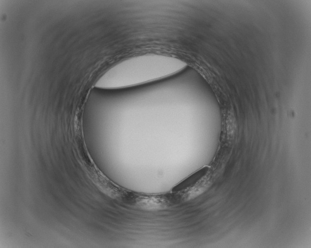 X0000085000611200703050937