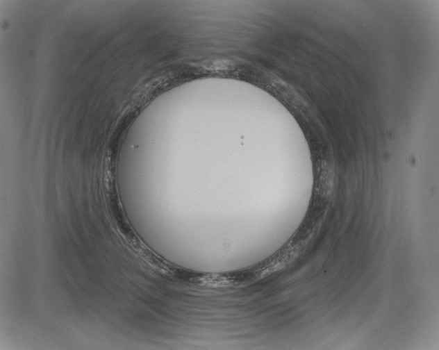 X0000085000612200703050937