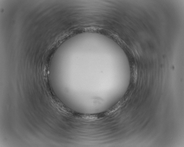 X0000085000619200703050937