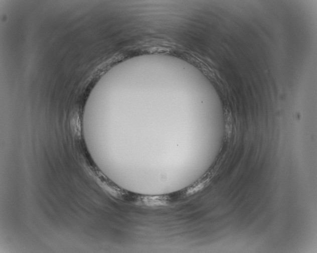 X0000085000622200703050937