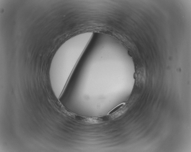 X0000085000623200703050937