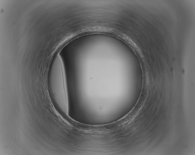 X0000085000625200703050936